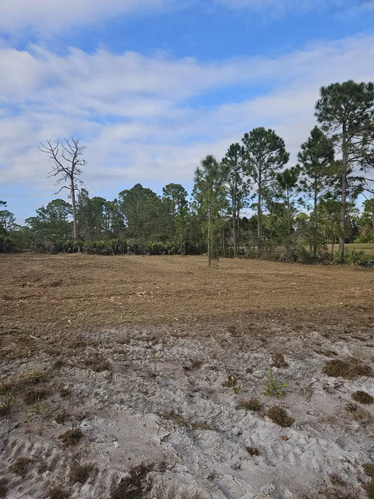 Custom lawn care service experts serving Mims, FL - Innovative Landworks & Site Development