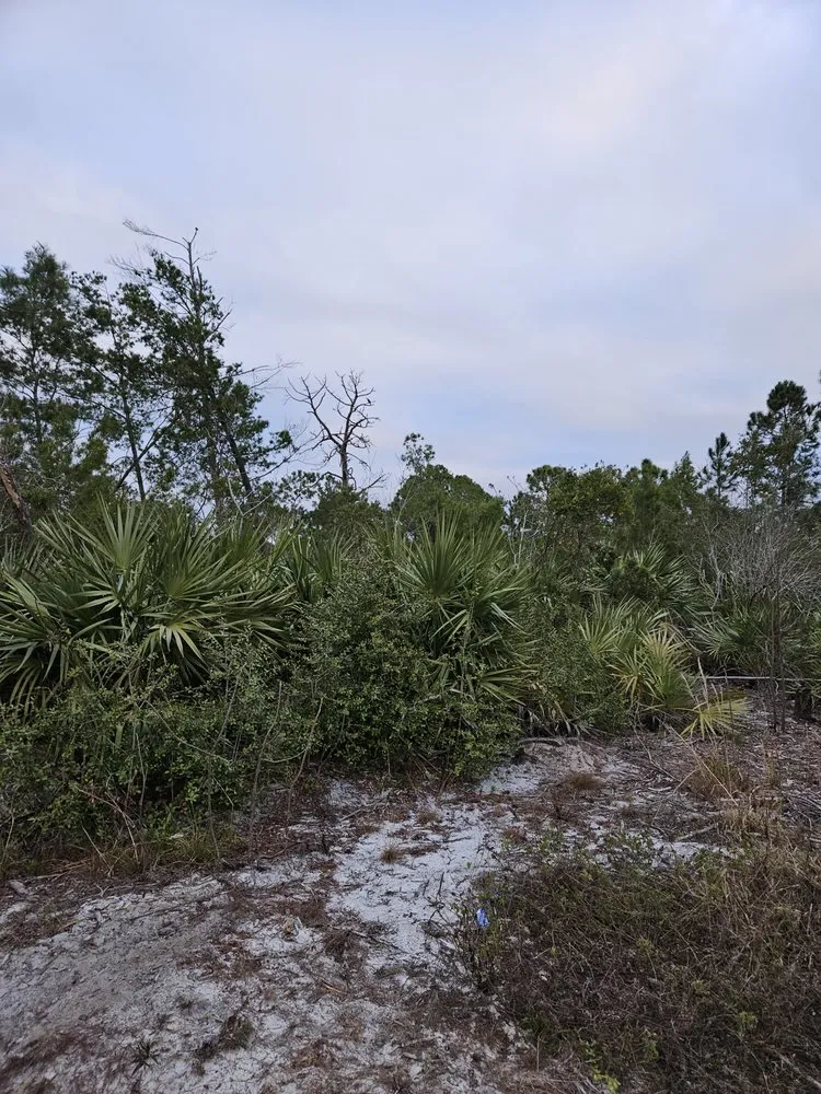 Trusted yard maintenance experts serving Mims, FL - Innovative Landworks & Site Development