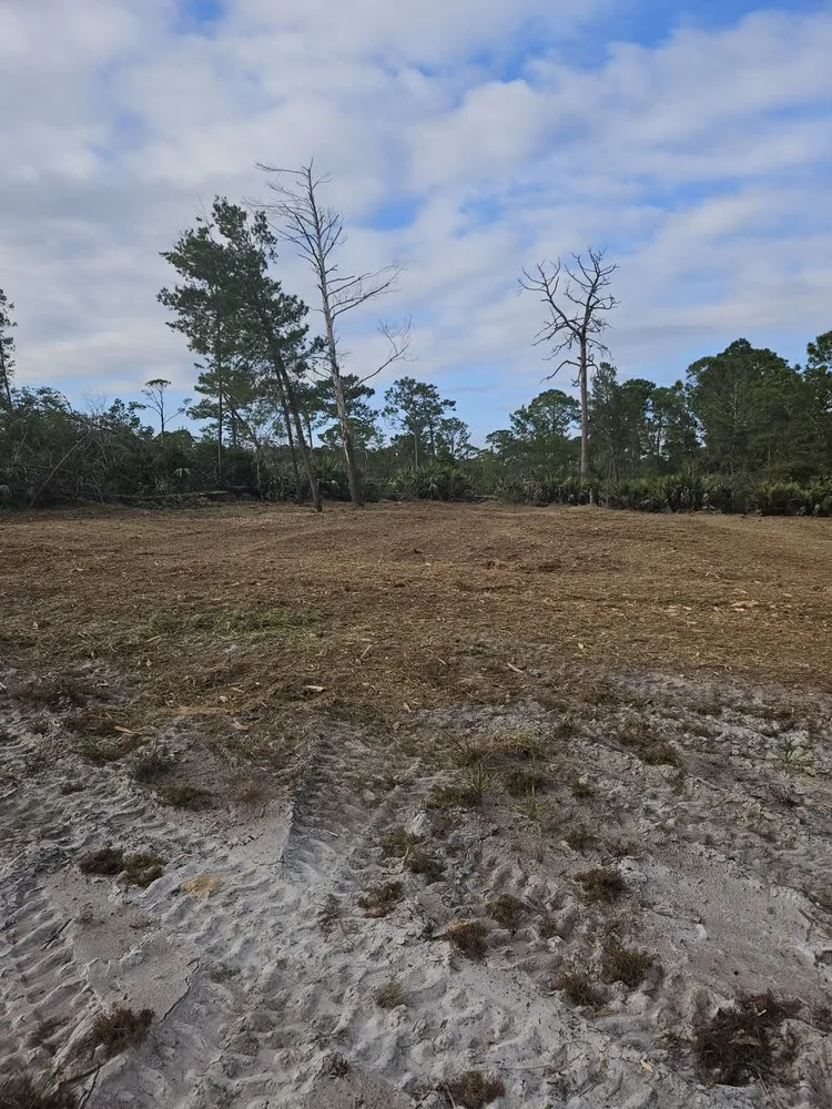 Custom residential landscaping for outdoor upgrades in Mims, FL by Innovative Landworks & Site Development