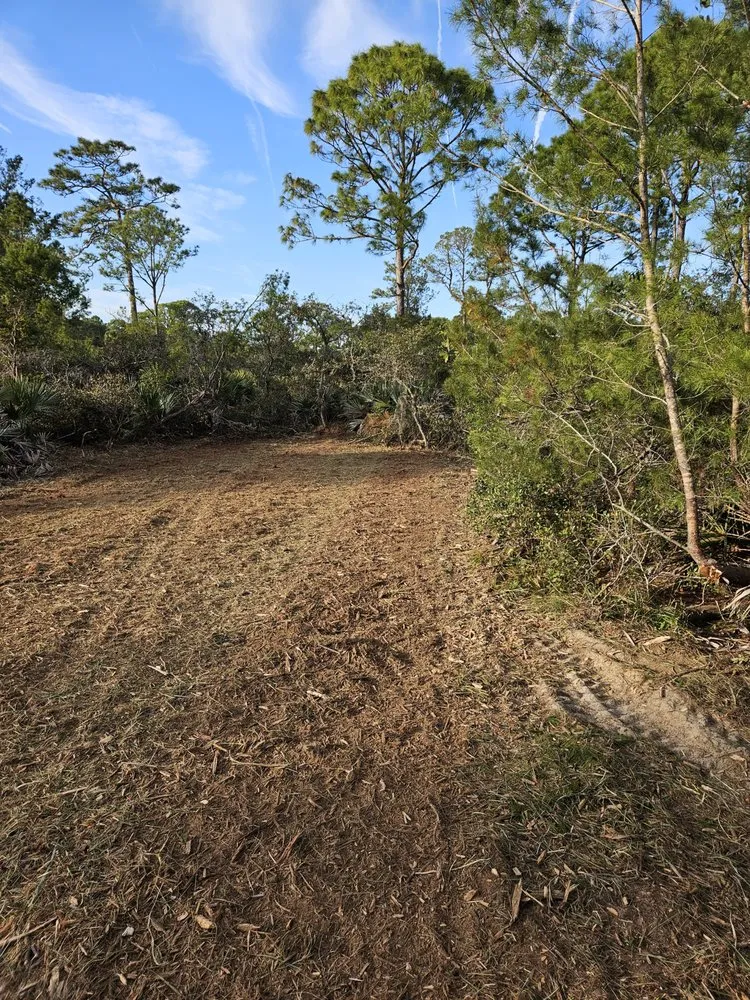 Professional outdoor landscaping near you in Mims, FL by Innovative Landworks & Site Development