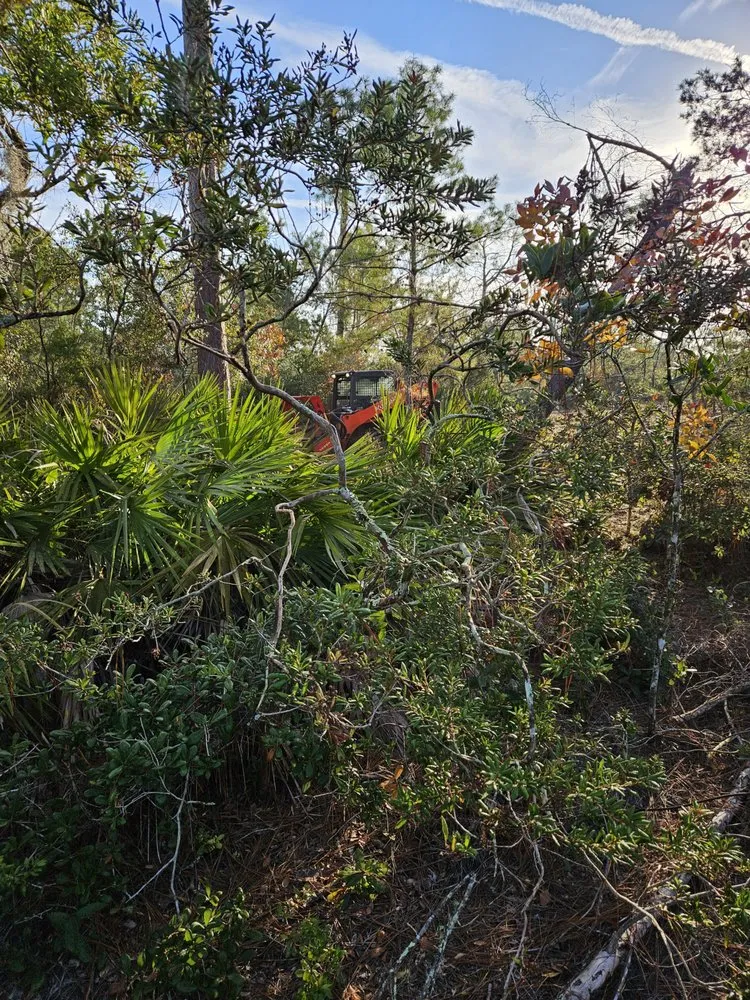 Affordable lawn care service experts serving Mims, FL - Innovative Landworks & Site Development