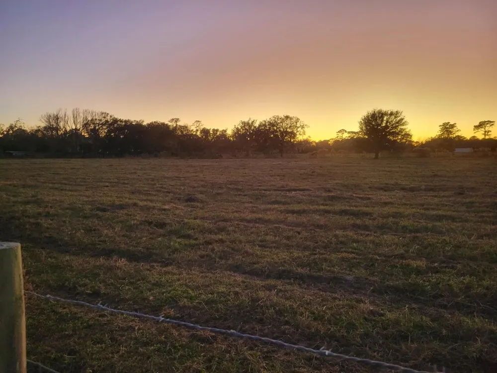 Professional lawn care service with custom design across Mims, FL - Innovative Landworks & Site Development