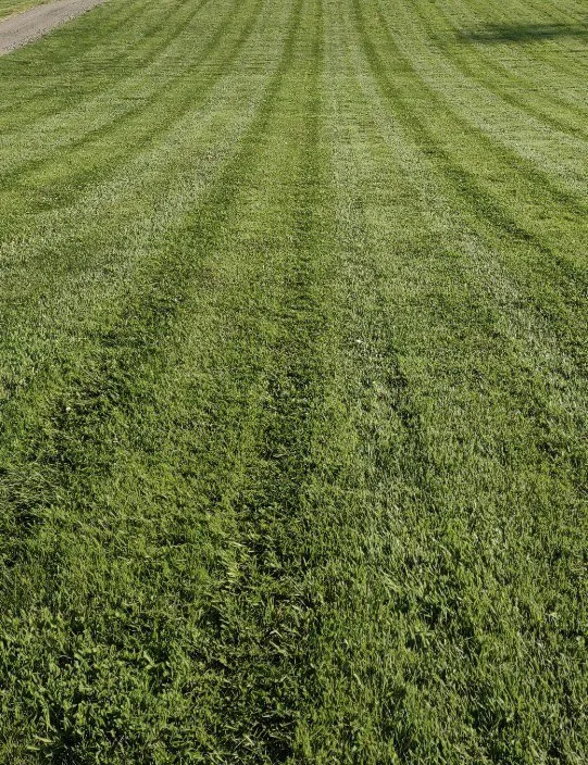 Custom yard maintenance in Sioux Falls, SD - Innovative Lawn And Snow Removal