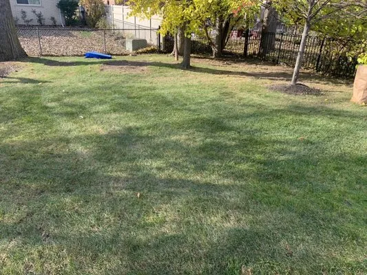 Innovative lawn Care Logo