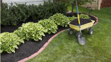 Professional yard maintenance for beautiful yards across Mocksville, NC - Innovative Lawncare