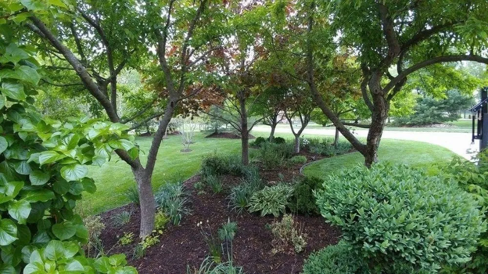 Professional yard maintenance for beautiful yards across Lee's Summit, MO - Innovative Outdoor Living