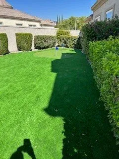 Affordable landscape installation in Henderson, NV - Innovative Outdoors