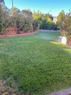 Trusted yard cleanup service with custom design across Henderson, NV - Innovative Outdoors