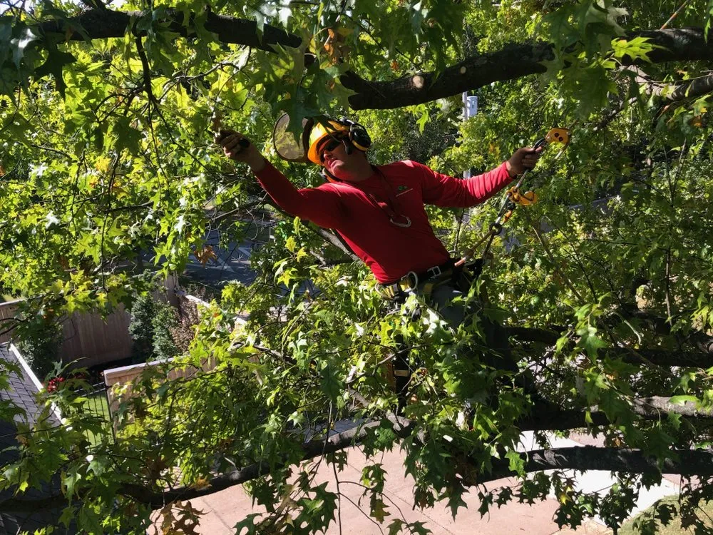 Local garden landscaping experts serving Owasso, OK - Innovative Tree and Landscape