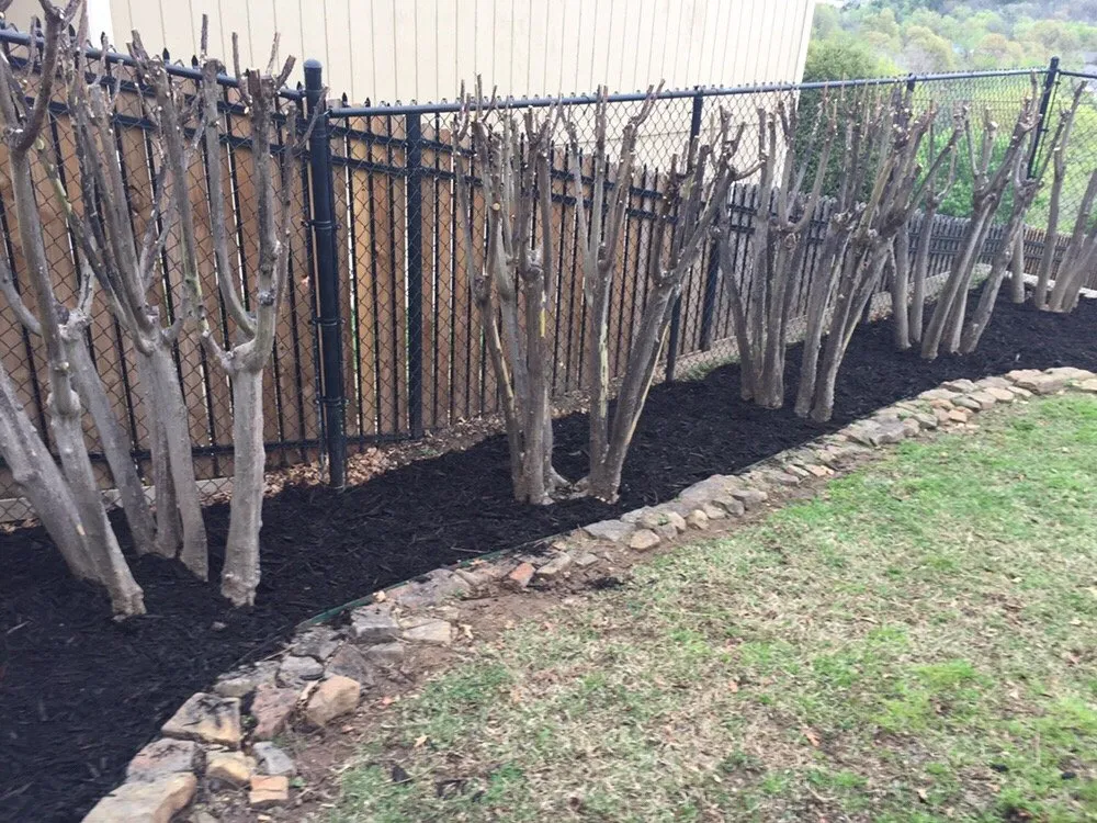 Trusted yard maintenance for year-round maintenance across Owasso, OK - Innovative Tree and Landscape