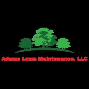 Professional yard cleanup service for outdoor upgrades in Owasso, OK by Innovative Tree and Landscape