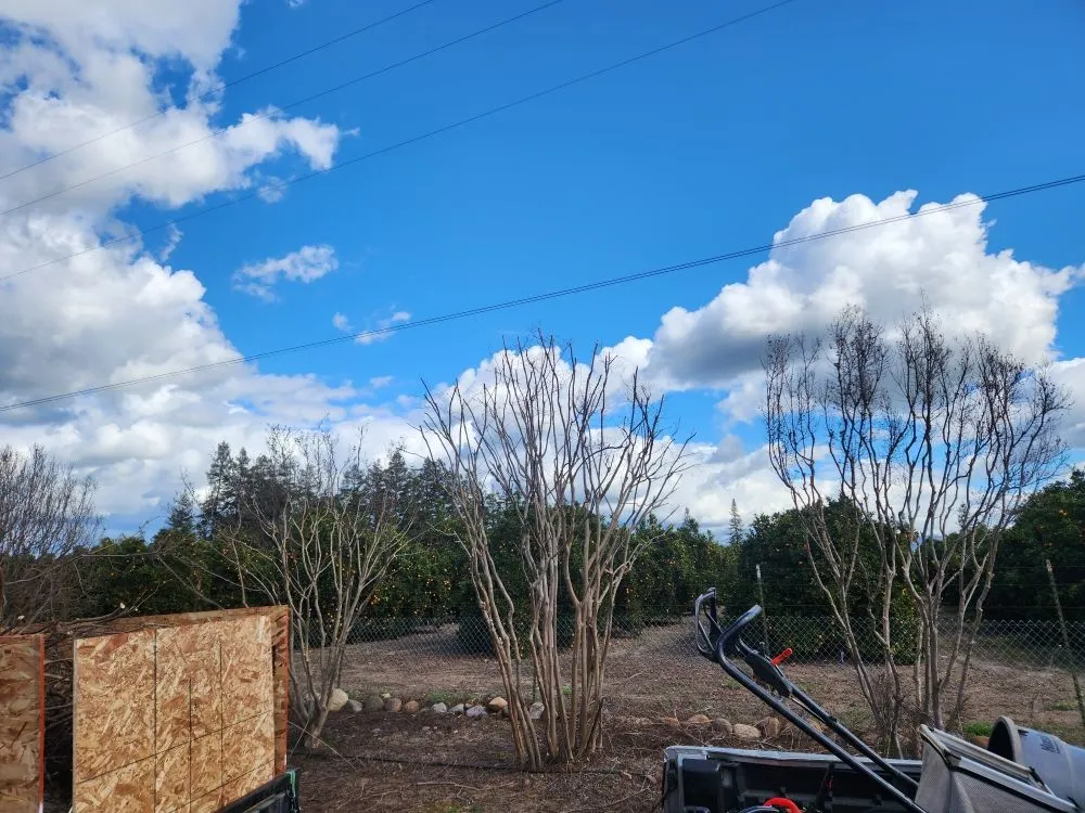 Reliable yard maintenance near you in Del Rey, CA by Inostros Landscaping And Lawn Care