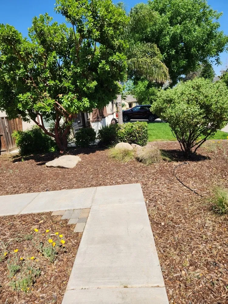 Custom outdoor landscaping experts serving Del Rey, CA - Inostros Landscaping And Lawn Care