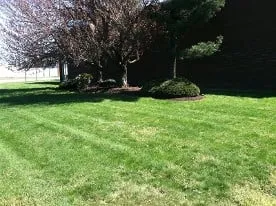 Expert lawn care service for beautiful yards across South Plainfield, NJ - INOUT Property Maintenance