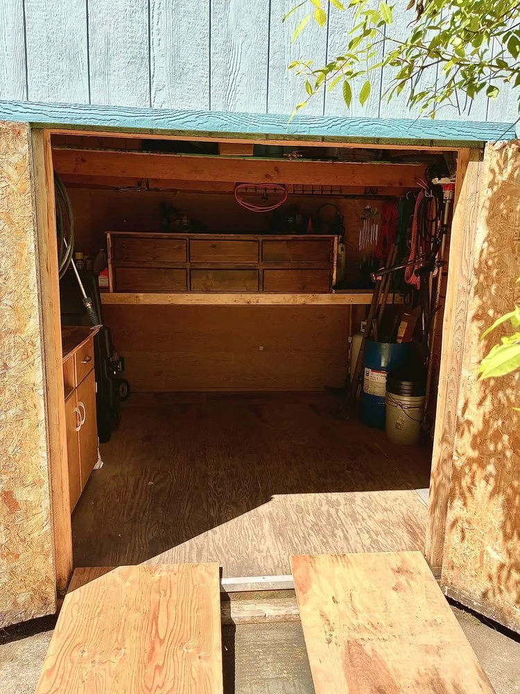 Professional yard cleanup service in Sedro-Woolley, WA - Insane Detail