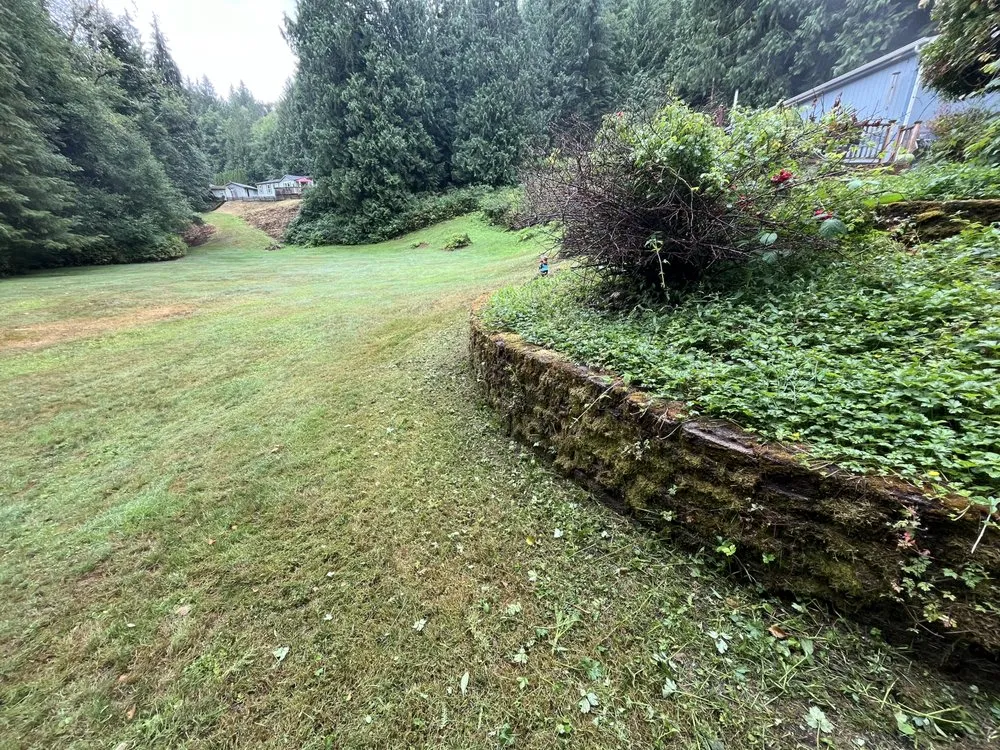 Trusted lawn mowing service for outdoor upgrades across Sedro-Woolley, WA - Insane Detail