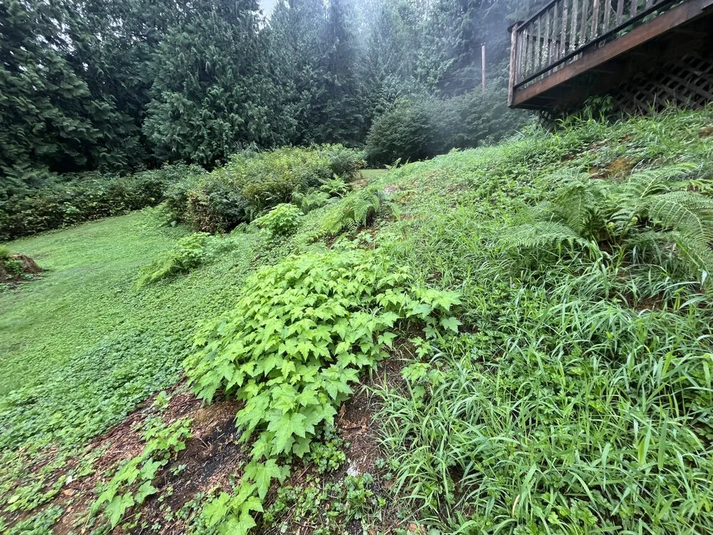Trusted landscaping services in Sedro-Woolley, WA - Insane Detail