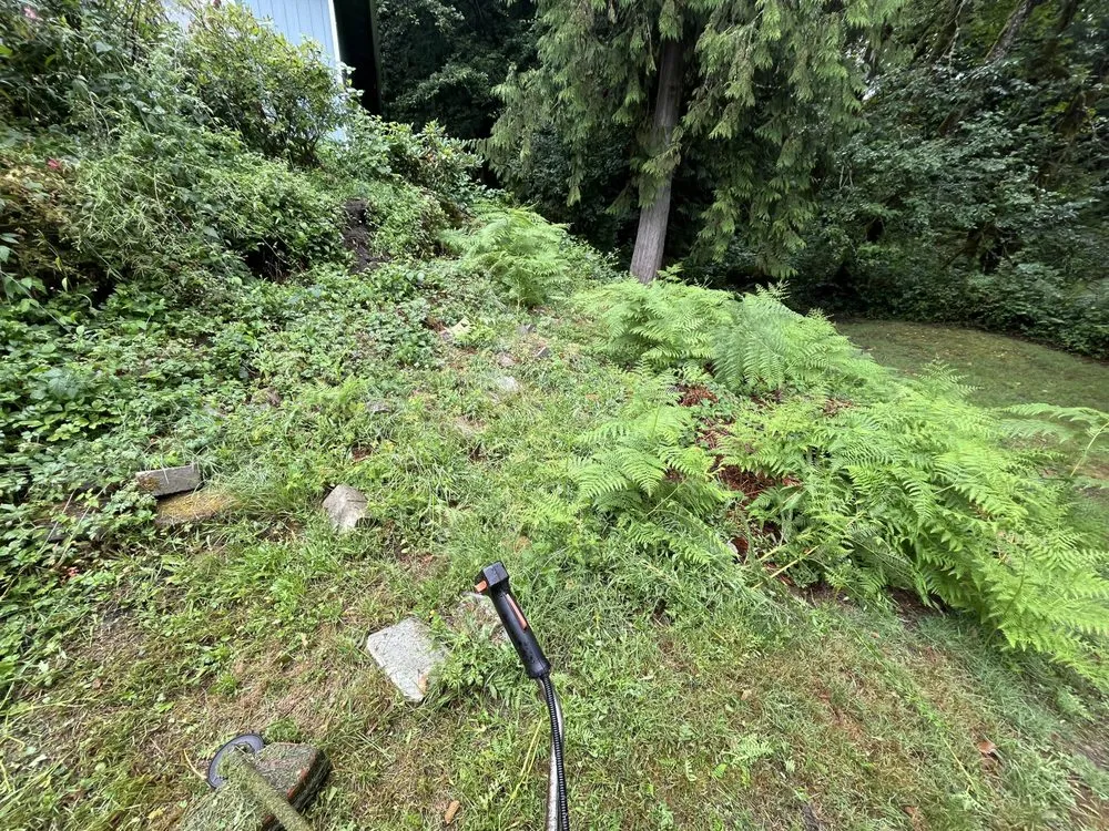 Professional lawn care service experts serving Sedro-Woolley, WA - Insane Detail