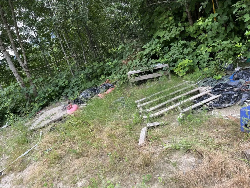 Professional outdoor landscaping in Sedro-Woolley, WA - Insane Detail
