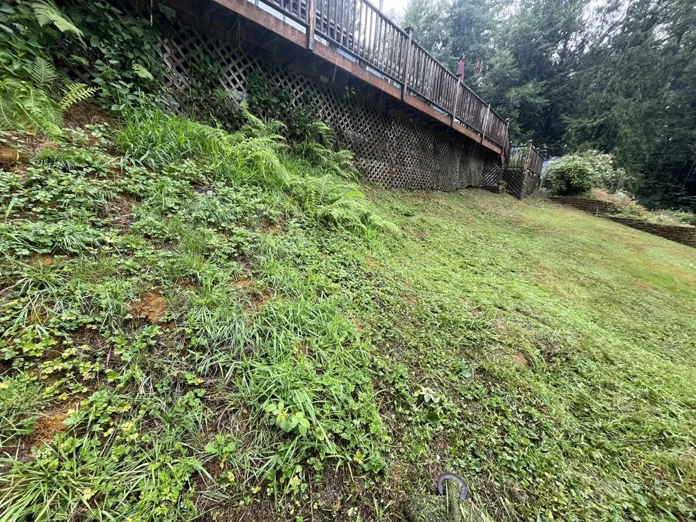 Reliable lawn mowing service experts serving Sedro-Woolley, WA - Insane Detail