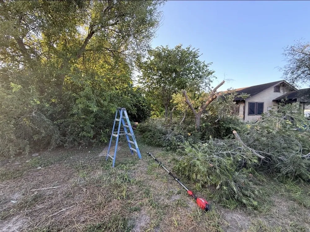 Expert landscape installation for homes across San Benito, TX - Insane Performance Landscaping