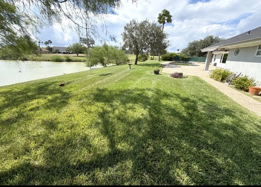 Custom landscape installation experts serving San Benito, TX - Insane Performance Landscaping