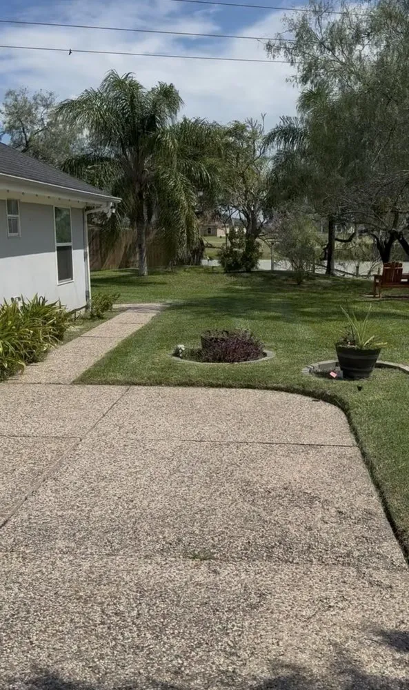 Affordable yard cleanup service in San Benito, TX - Insane Performance Landscaping