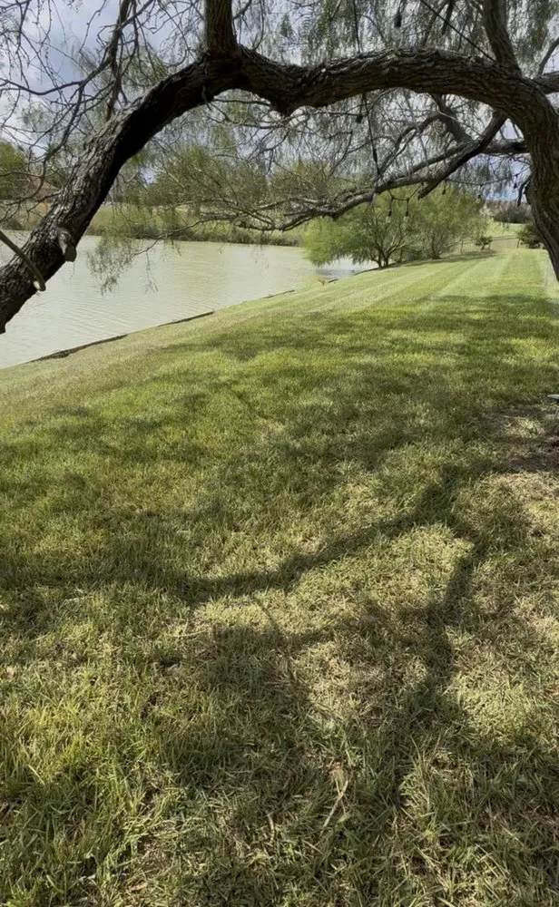 Local garden landscaping experts serving San Benito, TX - Insane Performance Landscaping