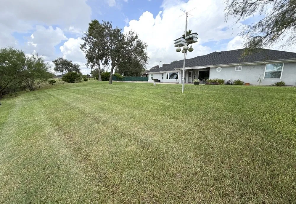 Custom lawn mowing service in San Benito, TX - Insane Performance Landscaping