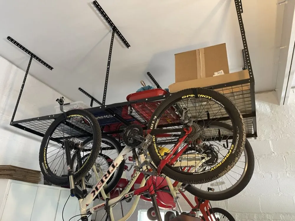 Trusted yard cleanup service in Western Springs, IL by Insanely Handy