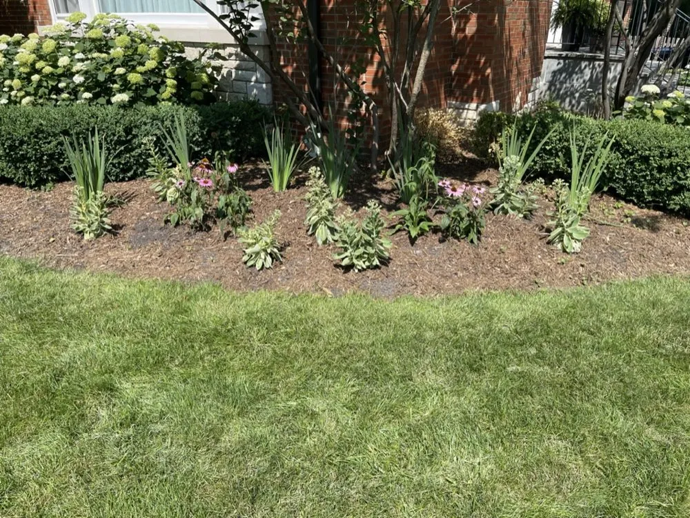 Trusted landscape design with custom design across Western Springs, IL - Insanely Handy