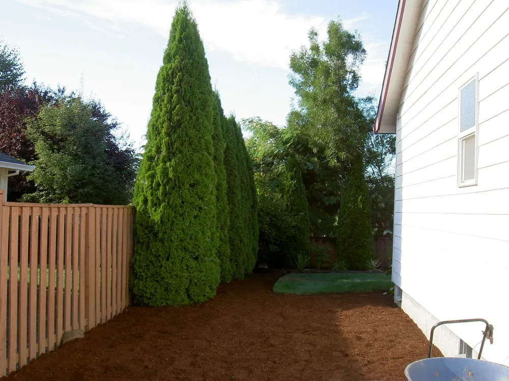 Reliable landscape installation in Portland, OR by Inscapes Landscaping