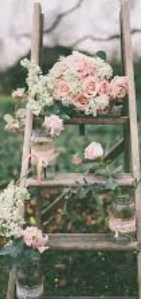 Affordable yard cleanup service for residential properties in Roy, UT by Inside & Out Cleaning, Yard & Garden Services Plus