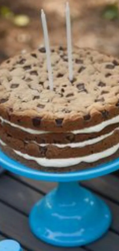 Affordable lawn care service for homes across Roy, UT - Inside & Out Cleaning, Yard & Garden Services Plus