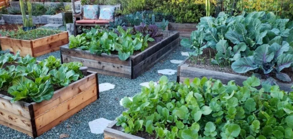 Top-rated yard maintenance in Roy, UT by Inside & Out Cleaning, Yard & Garden Services Plus