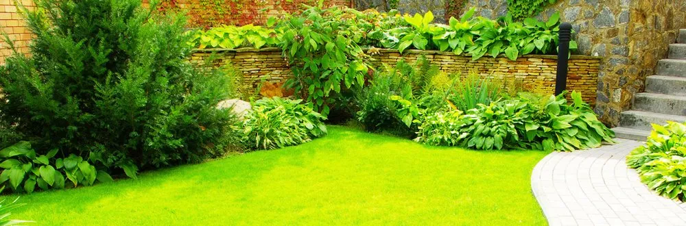 Affordable yard maintenance near you across Sonora, CA - Inside & Out