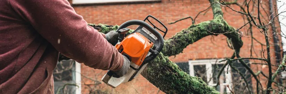 Trusted landscaping services for homes across Sonora, CA - Inside & Out