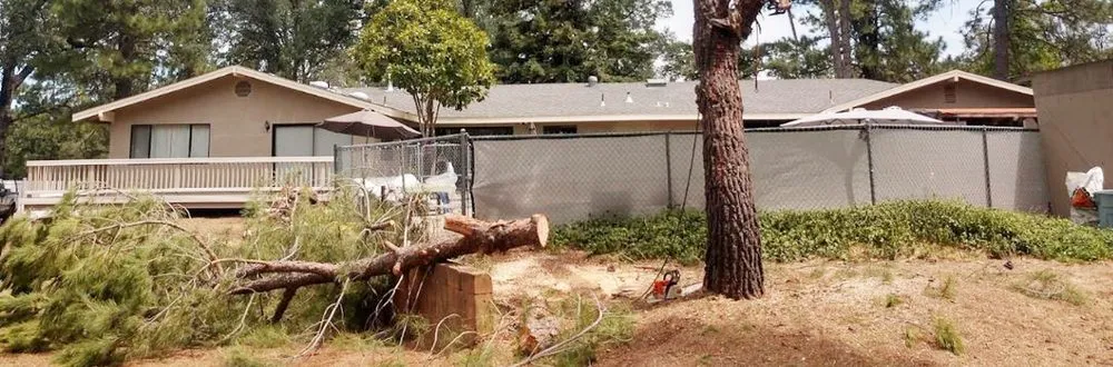 Trusted yard maintenance in Sonora, CA by Inside & Out