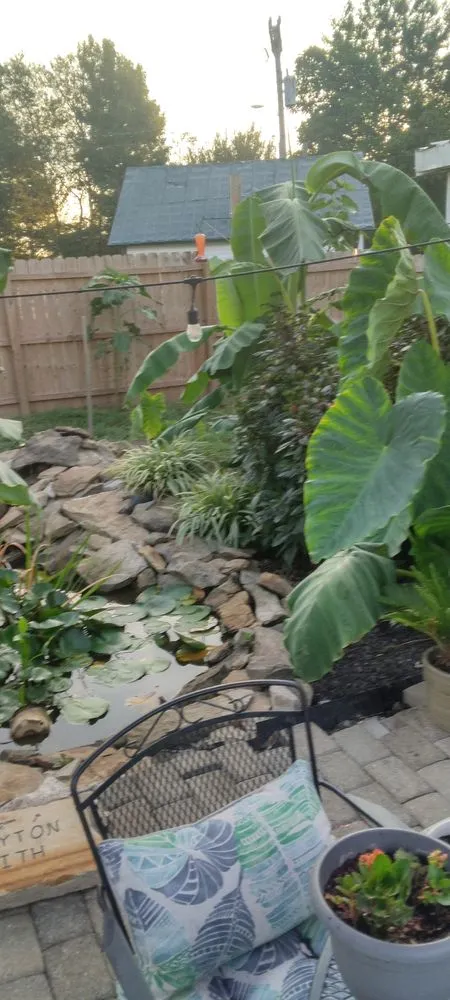 Local landscape installation for year-round maintenance in Robards, KY by Inside And Out Landscaping And Home Repair