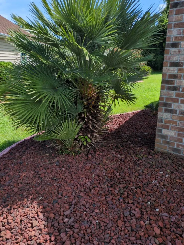 Expert yard maintenance in Little River, SC - Inside Out Home & Lawn Cleaning