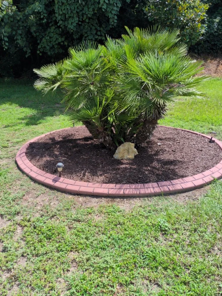 Professional outdoor landscaping in Little River, SC - Inside Out Home & Lawn Cleaning