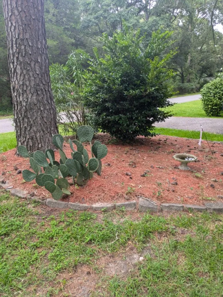 Affordable residential landscaping with custom design across Little River, SC - Inside Out Home & Lawn Cleaning
