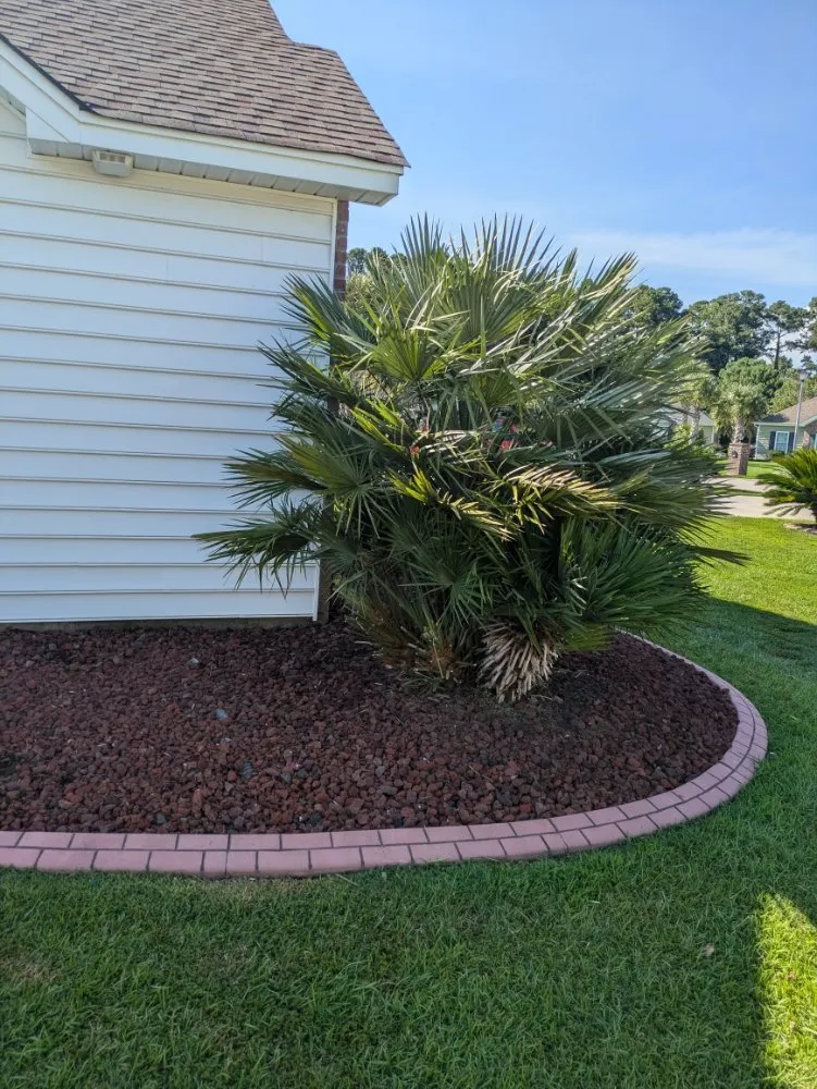 Affordable residential landscaping for homes in Little River, SC by Inside Out Home & Lawn Cleaning