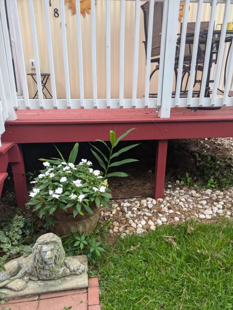 Professional residential landscaping experts serving Little River, SC - Inside Out Home & Lawn Cleaning