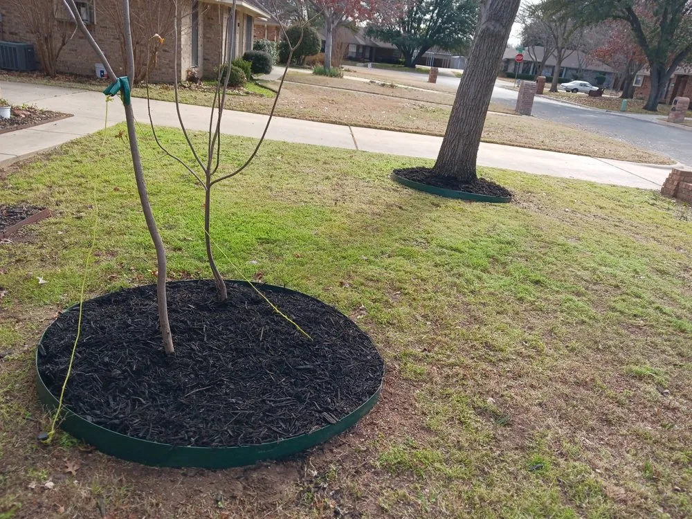 Trusted yard maintenance experts serving Denton, TX - Inside Out Home Services