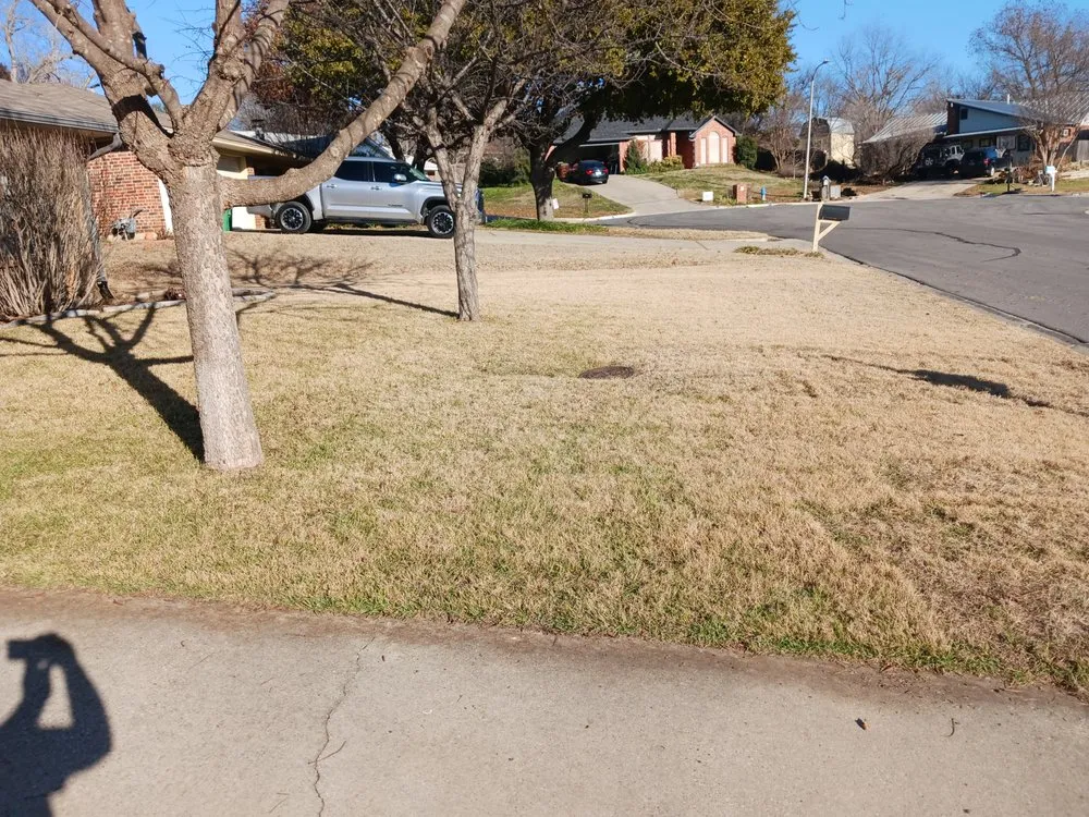 Reliable landscaping services in Denton, TX by Inside Out Home Services