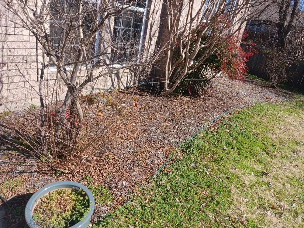 Reliable yard maintenance in Denton, TX - Inside Out Home Services