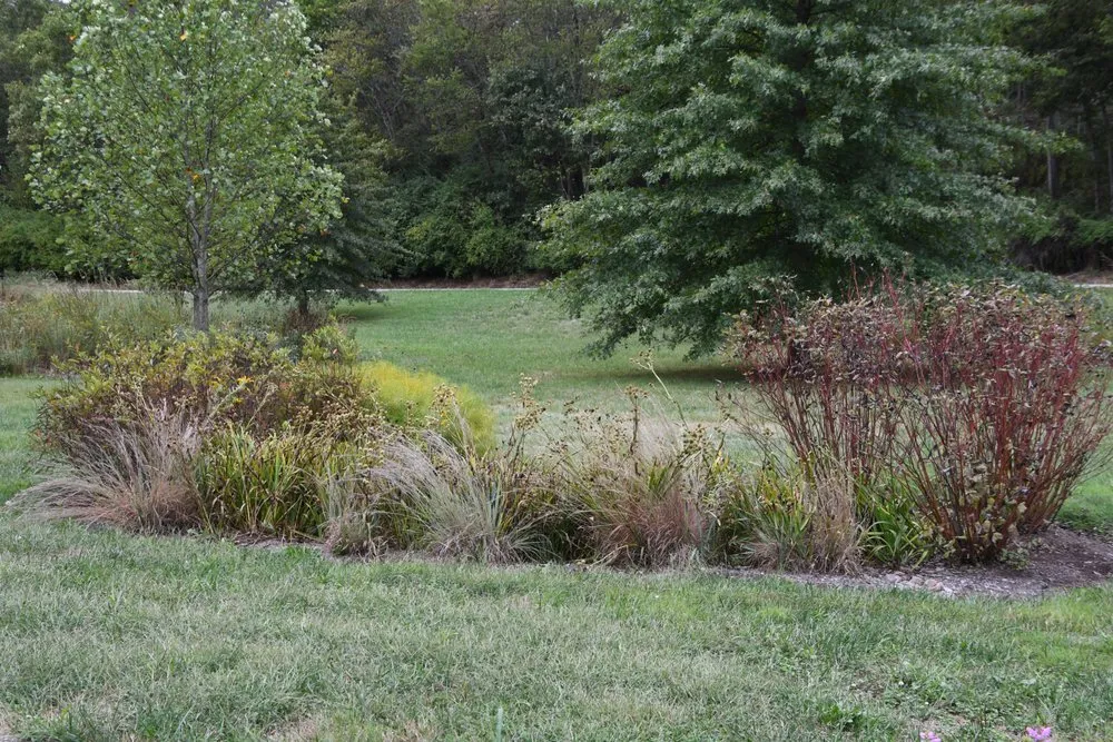 Professional yard cleanup service for beautiful yards across Frankfort, KY - Inside Out Landscape Design