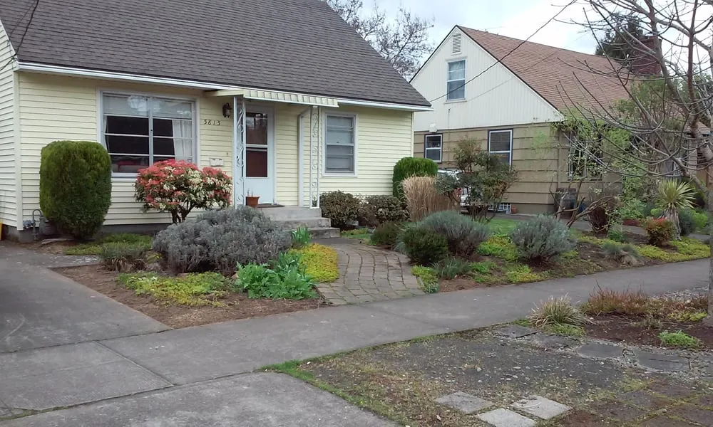 Professional yard maintenance in Portland, OR by Inside Out Landscape Maintenance Services