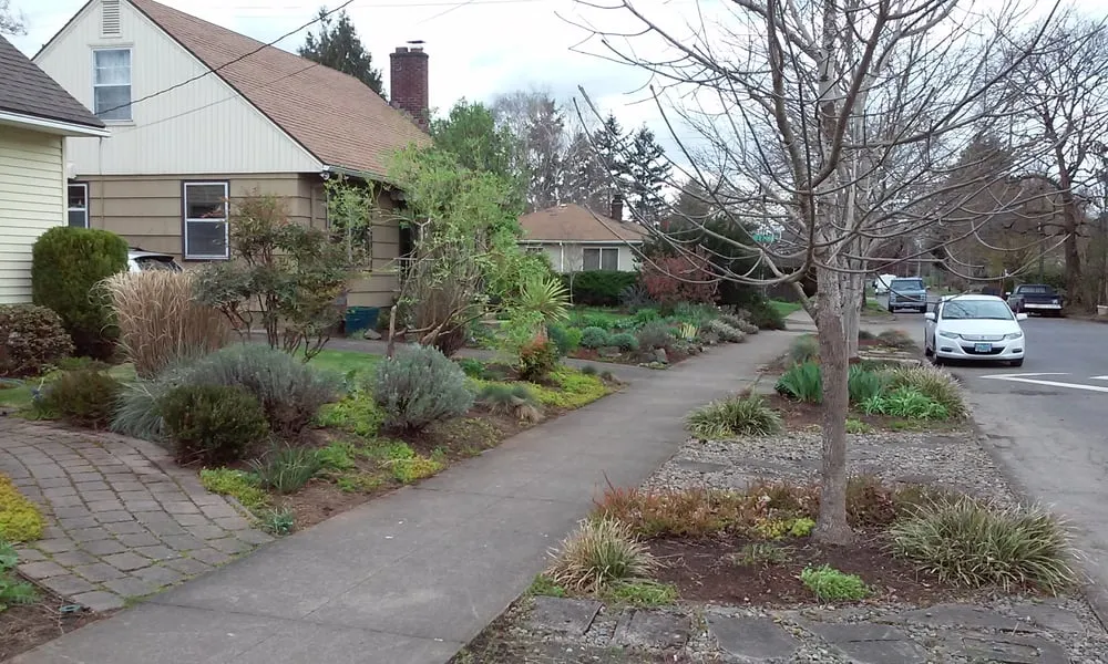 Custom outdoor landscaping in Portland, OR - Inside Out Landscape Maintenance Services